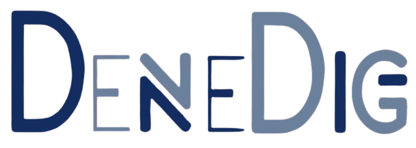 Logo DENEDIG